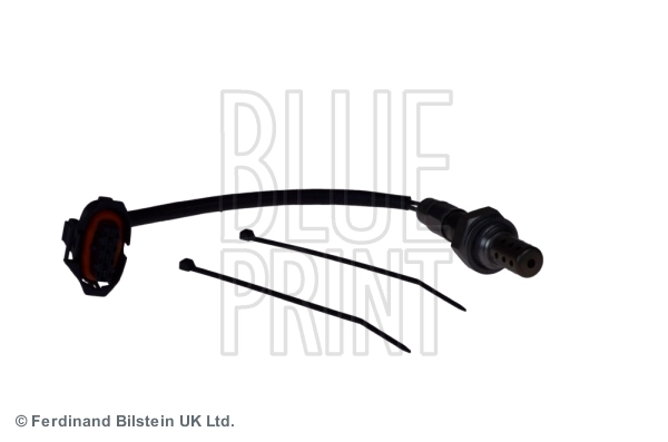 Oxygen Sensor